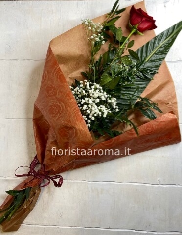 Rosa rossa a gambo lungo.