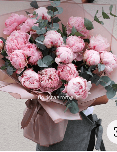 BQ peonie rosa
