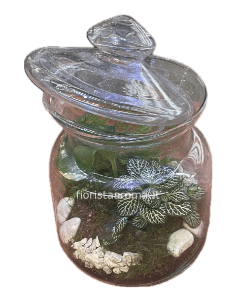 Terrarium