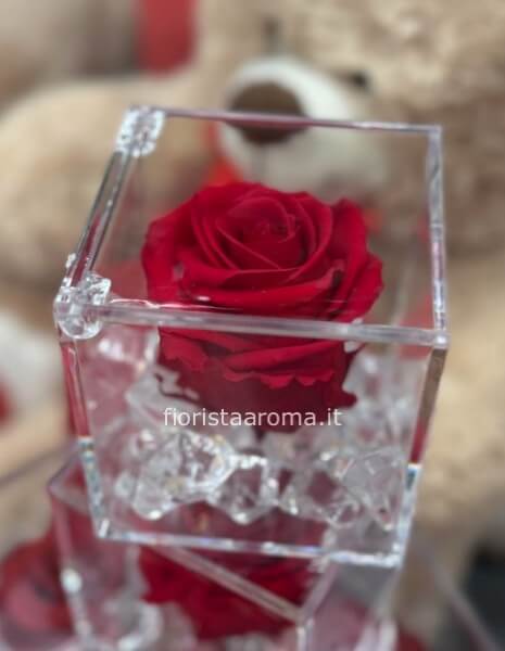 rosa stabilizzata