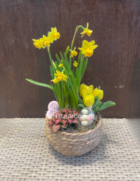 Cestino con narcisi