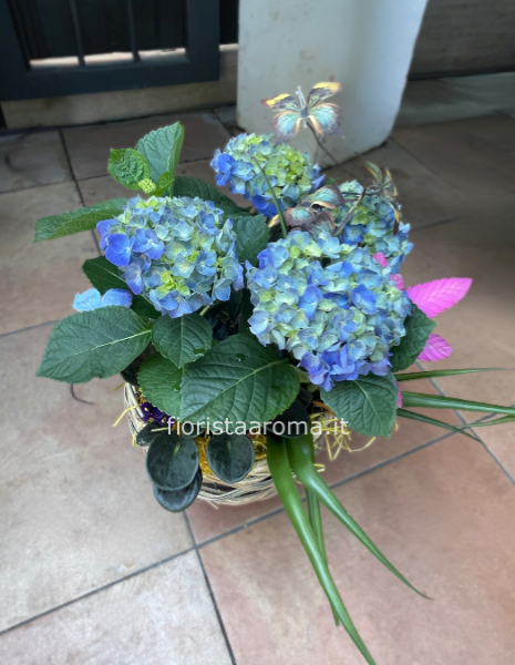 composizione ortensia