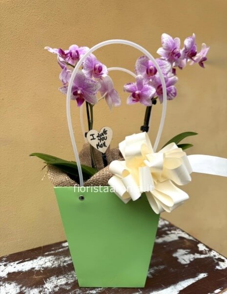 borsetta orchidea