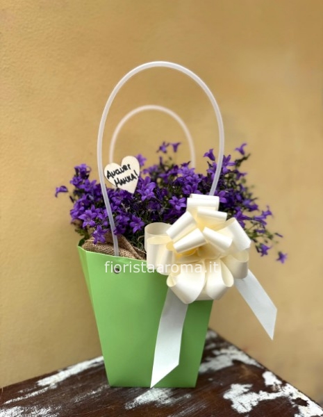 borsetta di campanula