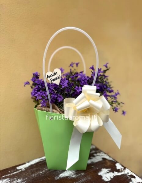 borsetta di campanula