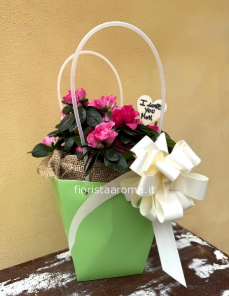 borsetta di azalea
